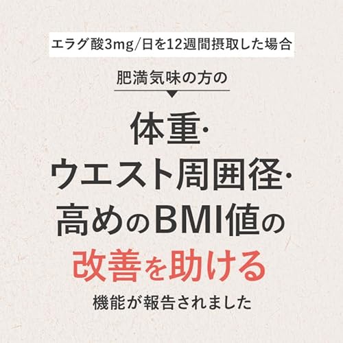新日本製薬 Wの健康青汁プラス 31本入×1箱 【機能性表示食品】 国産 粉末 乳酸菌 ビフィズス菌 エラグ酸 GABA ビタミンB6 <リニューアル> 中間 画像