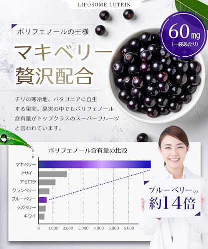 【高吸収 × 持続型】LIPOSOME LUTEIN 高濃度 ルテイン 150mg サプリ ゼアキサンチン ブルーベリー アサイー 目 アスタキサンチン リポソーム ビタミンA ビタミンB2 ビタミンE 目のサプリ サプリメント 栄養機能食品 Wellio ウェリオ (60日分) 中間 画像