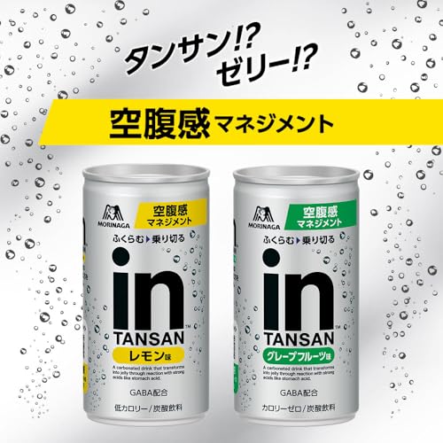 inゼリー 森永製菓 inタンサンドライ<グレープフルーツ味 width=