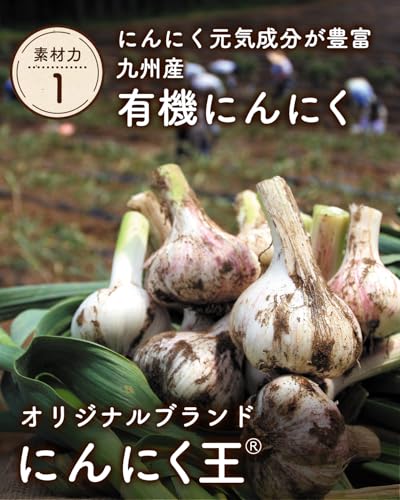 健康家族 伝統にんにく卵黄 31粒 国産にんにく 九州産有精卵黄使用 特許取得 独自生製法 アマニ油配合 毎日の元気と活力をサポート 国内製造 最後 画像