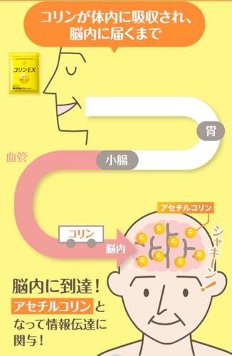 キユーピー コリンEX 30日分 (180粒) 言語記憶力の維持に 機能性表示食品 卵黄コリン レシチン (30日用)の特徴・詳細 画像