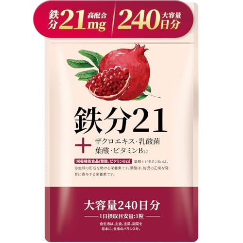 【240日分】 鉄分 21mg サプリ 国産原料 国内製造 鉄分不足 鉄 葉酸 持続型 鉄剤 Iron 栄養機能食品 Vitanad+(ビタナッド)の外観・全体像 画像