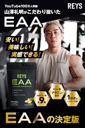 REYS レイズ EAA 山澤礼明 監修 必須アミノ酸 9種配合 600g 栄養機能食品 ベータアラニン 1日分のビタミンB群3種配合 国産 BCAA (パイナップル風味)の詳細・まとめ 画像