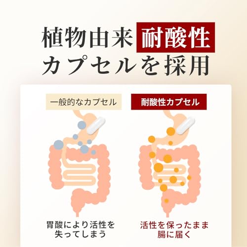 ナットウキナーゼ 6500FU/日（1日1粒）30日分 サプリメント 納豆キナーゼ nattokinase 耐酸性カプセル ビタミンk2 除去 国産 日本製 Herbase（ハーベース）の特徴・詳細 画像