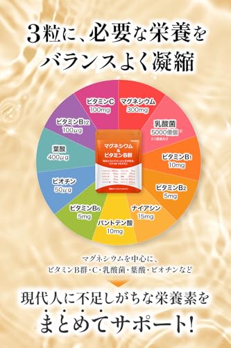 health＋ マグネシウム ビタミンB群 サプリ エネルギーと代謝を支える ミネラル×ビタミン設計 マグネシウム300mg ビタミンB1 B2 B6 B12 ナイアシン パントテン酸 葉酸 ビタミンC 乳酸菌 配合 90粒 約30日分の特徴・詳細 画像
