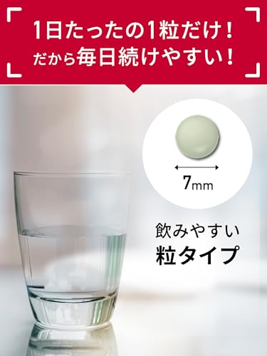 【ヤクルトのサプリメント】鉄・葉酸（30粒）30日分 1粒で１日分の鉄・葉酸 ヤクルト サプリ 鉄分 貧血 鉄分補給 栄養機能食品の特徴・詳細 画像