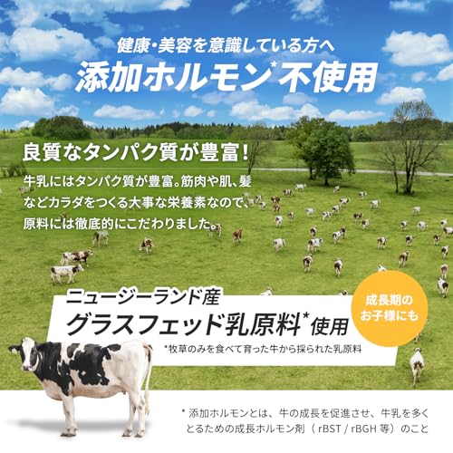 BAZOOKA NUTRITION バズーカニュートリション ホエイ プロテイン バズーカ岡田 監修 WPC チョコレート風味 国内製造 グラスフェッド 人工甘味料不使用の特徴・詳細 画像