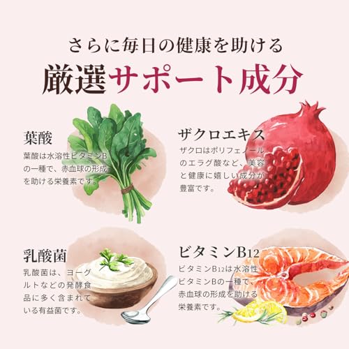 【240日分】 鉄分 21mg サプリ 国産原料 国内製造 鉄分不足 鉄 葉酸 持続型 鉄剤 Iron 栄養機能食品 Vitanad+(ビタナッド)の特徴・詳細 画像