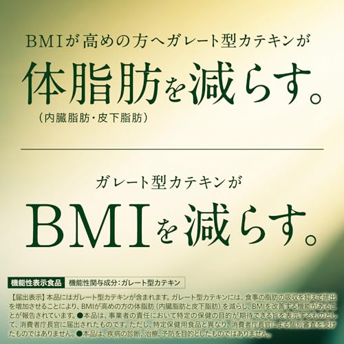 伊藤園 おーいお茶 さらさら濃い茶 粉末 [機能性表示食品] チャック付き袋タイプ 80gの特徴・詳細 画像