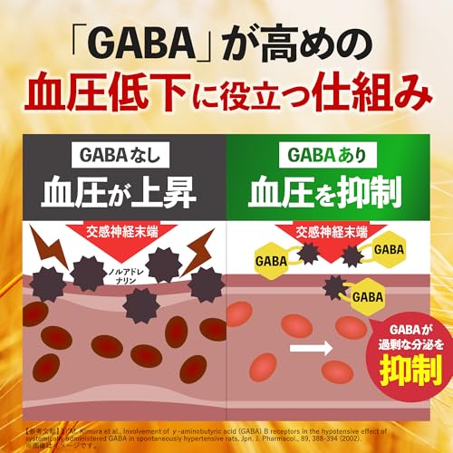 【血圧下げるサプリ】 GABA コクテモ (30日分/60粒) 血圧対策 オメガ3 亜麻仁油 ギャバ 機能性表示食品 漢方生薬研究所の特徴・詳細 画像