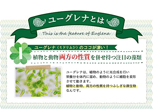 ユーグレナの恵み 90粒 約3ヶ月分 ユーグレナ ガセリ菌 乳酸菌 善玉菌 益生菌 ミドリムシ 酵素 サプリ サプリメント RoyalBSの特徴・詳細 画像