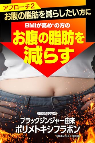 脂肪燃焼源 EX 120粒入り（30日分）運動中 の 脂肪燃焼 を高める [ 機能性表示食品 ヒドロキシクエン酸（HCA） ブラックジンジャー 由来 ポリメトキシフラボン 配合 ] 日本製の特徴・詳細 画像