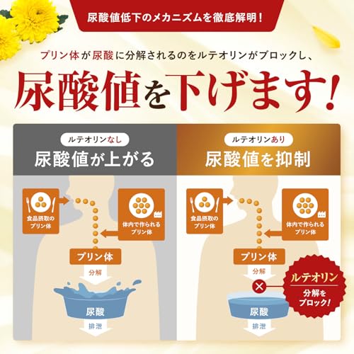 【医師監修】 尿酸値・体脂肪のWケア 尿酸値を下げる 体脂肪の減少をサポート W対策 内臓脂肪 体重 血中中性脂肪 30粒 約30日 ルテオリン10mg エラグ酸3mg ブラックジンジャー GABA ギムネマ イヌリン サラシア 機能性表示食品 国内GMP製造 サプリメント 新日本ヘルスの特徴・詳細 画像