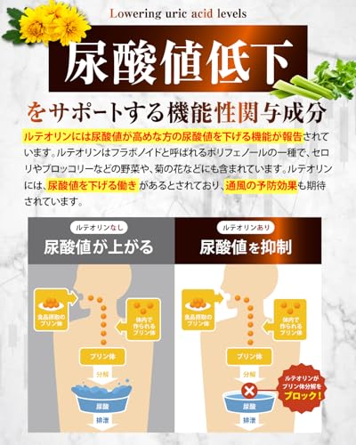 【高めの 尿酸値 を下げる】カロバーン尿酸値α 90日分 尿酸値が高めの方の 尿酸値を下げる 機能性表示食品 ルテオリン アンセリン 業界屈指13種のサポート成分贅沢配合 16種の無添加 悩み解決ラボの特徴・詳細 画像