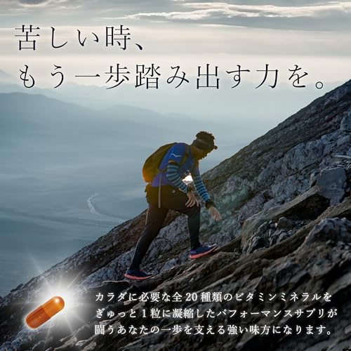 VAVAV MEGA パフォーマンスサプリ メガビタミン ビオチン マルチビタミン ミネラル サプリメント 完全栄養食 分子栄養学設計 1粒凝縮 最大125倍 サプリ 90粒の特徴・詳細 画像