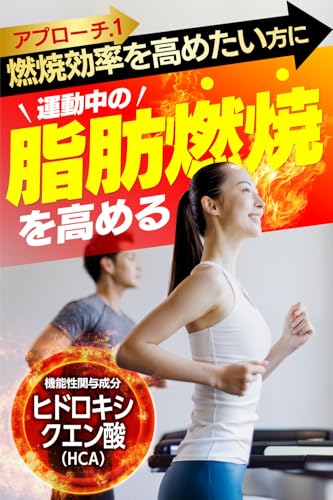 脂肪燃焼源 EX 120粒入り（30日分）運動中 の 脂肪燃焼 を高める [ 機能性表示食品 ヒドロキシクエン酸（HCA） ブラックジンジャー 由来 ポリメトキシフラボン 配合 ] 日本製の詳細・まとめ 画像