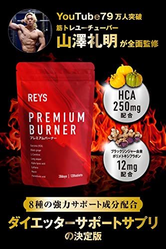 REYS レイズ 【PREMIUM BURNER】 プレミアムバーナー 120粒 (使用目安約30回分)山澤礼明監修 8種の厳選成分配合 ガルニシア(HCA) ブラックジンジャー カルニチン ヒハツ αリポ酸 カフェイン ナイアシン パントテン酸の詳細・まとめ 画像