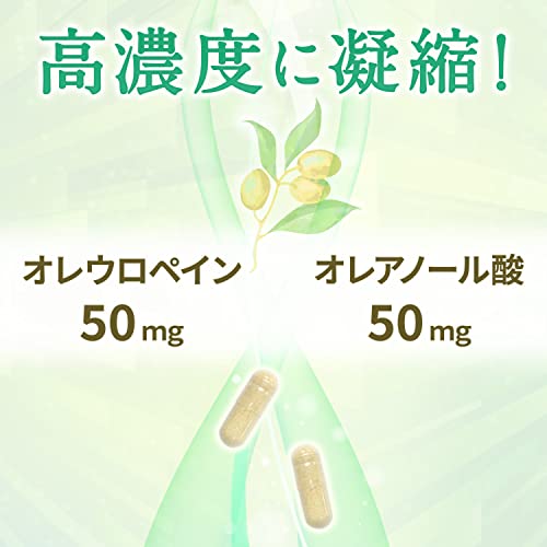 naturich オリーブ葉【国内製造】60粒(30日分) オレウロペイン50㎎ オレアノール酸50㎎と高配合！オリーブ葉 プレミアムエディションの詳細・まとめ 画像