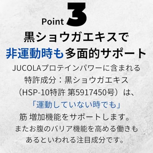 【ジャコラ公式販売商品】ジャコラ(JUCOLA)プロテインパワー ホエイ(WPI)60:ガゼイン40／カカオ風味 600gの特徴・詳細 画像