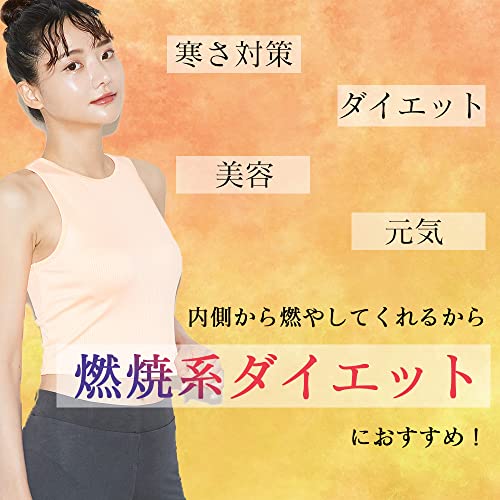 リプサ 金時生姜粒 約3か月分 T-652 (360粒) サプリメント ジンゲロール 温活 ぽかぽか 冷え クーラー 燃焼 運動 健康 美容 ダイエット 食生活 生活習慣 野菜不足 国内製造の特徴・詳細 画像