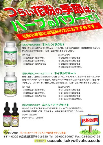 エクレクティック ネトル (イラクサ) 300mg×90カプセル e032の特徴・詳細 画像