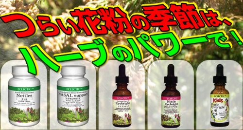 エクレクティック ネトル (イラクサ) 300mg×90カプセル e032の特徴・詳細 画像