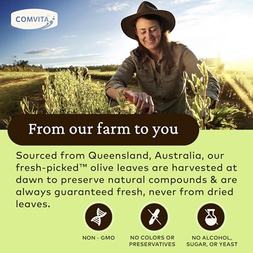 コンビタ オリーブ葉エキス プレーン味 500mlの特徴・詳細 画像
