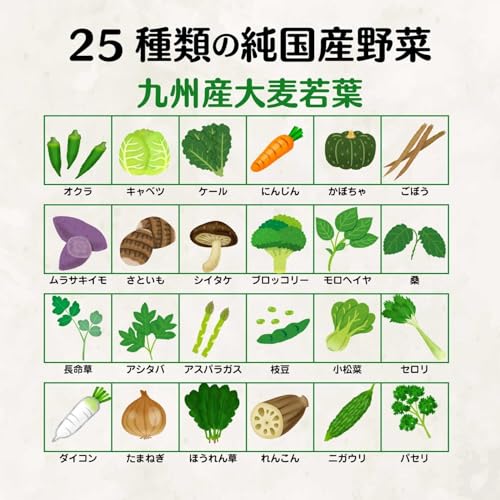 NIHON YAKKEN 金の青汁 (R) 25種の純国産野菜 乳酸菌×酵素 (65パック/乳酸菌200億個配合) 酵素青汁 純国産大麦若葉 (食物繊維) 農薬不使用 野菜不足 改善 (日本薬健)の特徴・詳細 画像