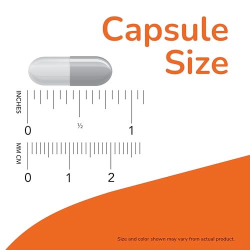 [お得サイズ ] ナウフーズ エルダーベリー 500mg（10倍濃縮）120粒 ベジカプセル [海外直送品]の特徴・詳細 画像