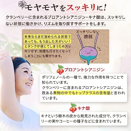 健康応援団 クランベリー エキス サプリメント 1ヶ月分 90粒 1袋 アメリカ産 キナ酸 ポリフェノール 女性 尿 国産 栄養補助食品 美容の特徴・詳細 画像