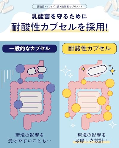 【生きた乳酸菌 酪酸菌 配合】 ビフィラル 乳酸菌 ビフィズス菌 酪酸菌 サプリ 4.5兆個 30日分 オリゴ糖 イヌリン ナットウキナーゼ プロバイオティクス BIFIRAL 国内製造 悩み解決ラボの特徴・詳細 画像