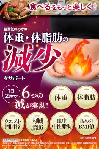 ダイエット サプリ【ラクヘル 体重・体脂肪対策】エラグ酸90mg配合/1袋当たり 機能性表示食品 ダイエットサプリ 肥満気味 脂肪 減らす 体重 体脂肪 中性脂肪 ウエスト ウエスト周囲径 内臓脂肪 BMI お腹の脂肪 (60粒 約30日分)の詳細・まとめ 画像