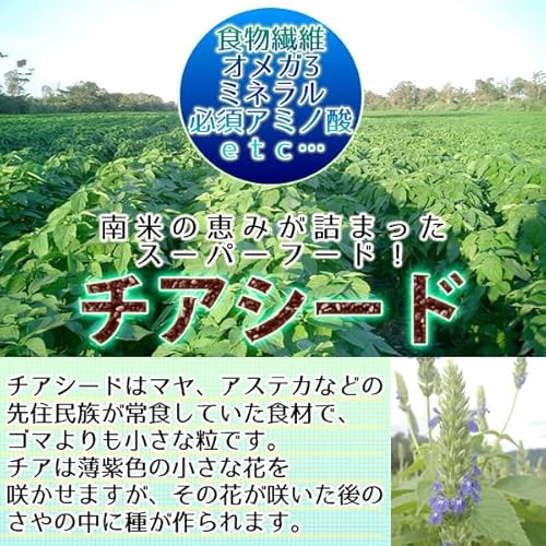 ヘルシーカンパニー チアシード 300g 「アフラトキシン検査 残留農薬検査 異物選別 殺菌工程すべて日本国内にて実施」オメガ3含有スーパーフードの詳細・まとめ 画像