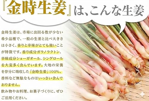 NICHIGA(ニチガ) 金時しょうが 粉末 100g [生姜の王様] 金時生姜 100% 残留農薬検査実施済み [04]の特徴・詳細 画像