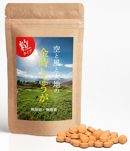 蒸し金時しょうが粒 120錠 ショウガオール 無農薬 金時生姜 100% 錠剤 温活 蒸し生姜 国産 しょうが サプリ ジンジャー サプリメントの外観・全体像 画像