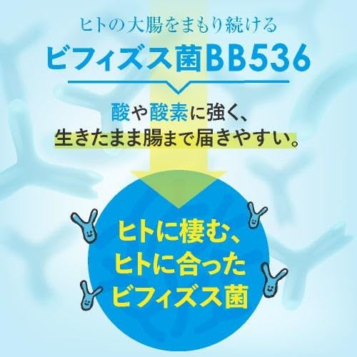 ビフィズス菌 サプリ BB536 100億個 機能性表示食品 腸内環境 を改善 花粉 などによる鼻の不快感を軽減 ビフィプラス100 31粒 約１ｹ月分の特徴・詳細 画像