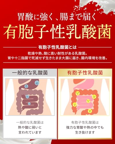 リファーナ 乳酸菌 ビフィズス菌 酪酸菌 サプリ 6兆個 30日分 国内製造 オリゴ糖 イヌリン ナットウキナーゼ プロバイオティクスの特徴・詳細 画像