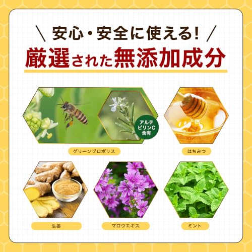 プロポリススプレー 30ml ウェルネスハイヴ プロポリスジンジャー はちみつ 生姜エキス配合 ブラジル産グリーンプロポリスの特徴・詳細 画像