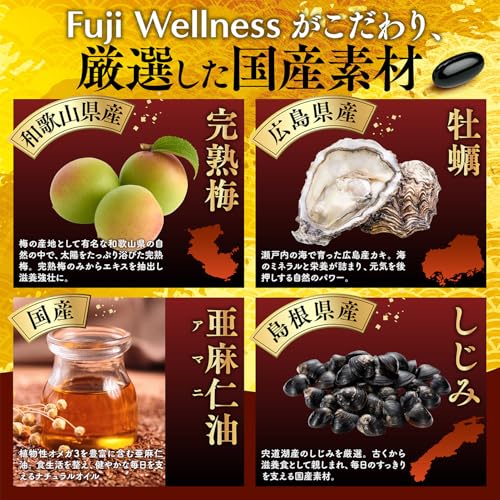 【60日分の大容量・栄養機能食品】国産 にんにく卵黄 すっぽん黒酢 サプリメント60日分 栄養機能食品（亜鉛 鉄） 60種の元気成分配合 にんにくサプリ 黒酢 にんにく 黒にんにく ニンニク Fuji Wellnessの特徴・詳細 画像