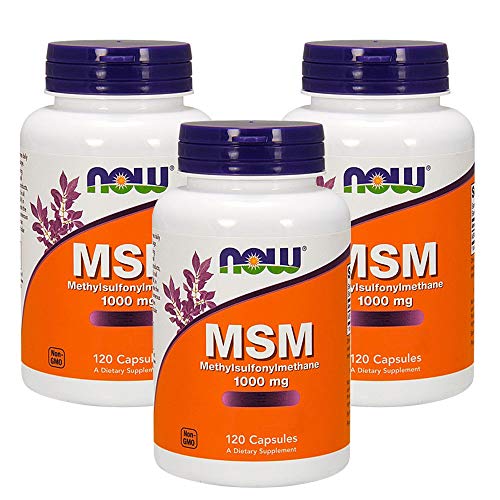 3本セット MSM 1000mg 120粒 海外直送品の外観・全体像 画像