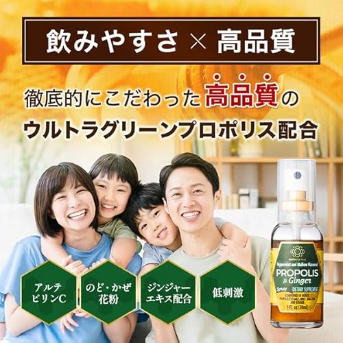 プロポリススプレー 30ml ウェルネスハイヴ プロポリスジンジャー はちみつ 生姜エキス配合 ブラジル産グリーンプロポリスの詳細・まとめ 画像
