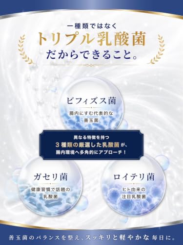 【業界最高水準の配合量 】高濃度 マグネシウム 10,500mg トリプル 乳酸菌 5,000億個 亜鉛 マルチビタミン 鉄分 カルシウム 30日分の特徴・詳細 画像