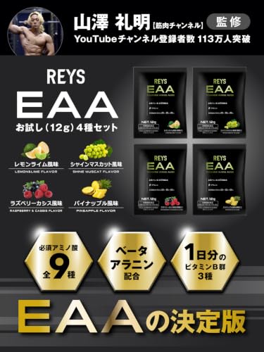 REYS レイズ EAA お試し セット 個包装 12g × 4種 山澤礼明 監修 必須アミノ酸 9種配合 600g 栄養機能食品 ベータアラニン 1日分のビタミンB群3種配合 国産 BCAAの詳細・まとめ 画像