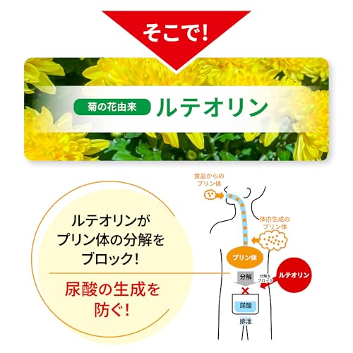小林製薬の栄養補助食品 [ 公式 ] 尿酸ヘルプ 尿酸 尿酸値 サプリ 【 <ルテオリンの研究報告>尿酸値を下げることをサポート 】 ルテオリン サプリメント [ 機能性表示食品 / 60粒 / 約30日分 ] (× 5)の特徴・詳細 画像